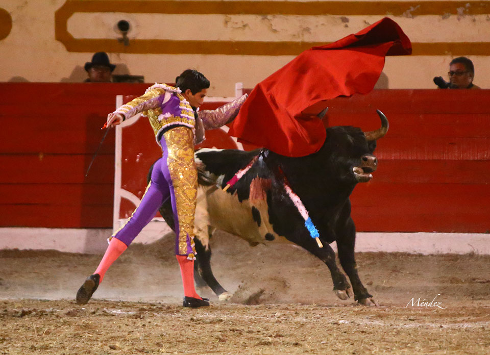 Encarnación de Díaz (México). Sábado 2 de febrero de 2019