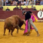 Lisboa, 23 de febrero de 2019. Día de la Tauromaquia