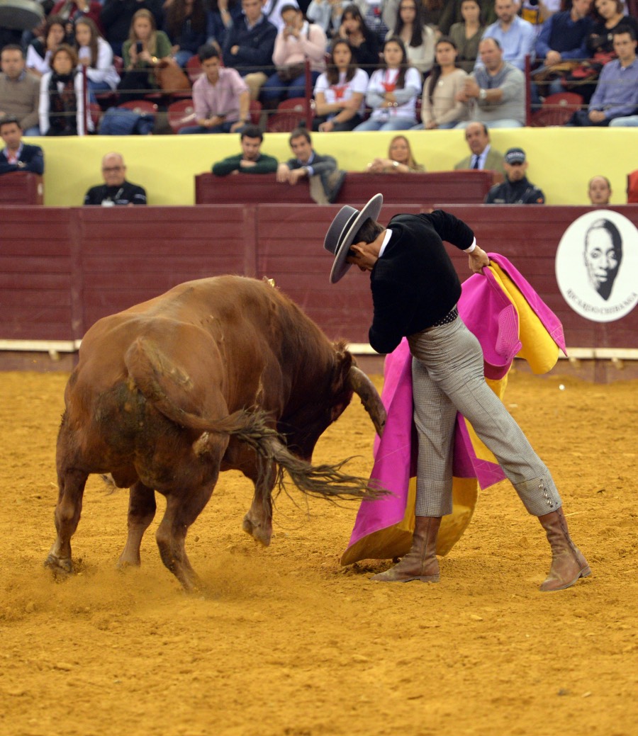 Lisboa, 23 de febrero de 2019. Día de la Tauromaquia