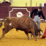 Lisboa, 23 de febrero de 2019. Día de la Tauromaquia