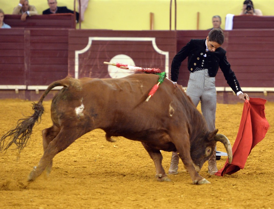 Lisboa, 23 de febrero de 2019. Día de la Tauromaquia