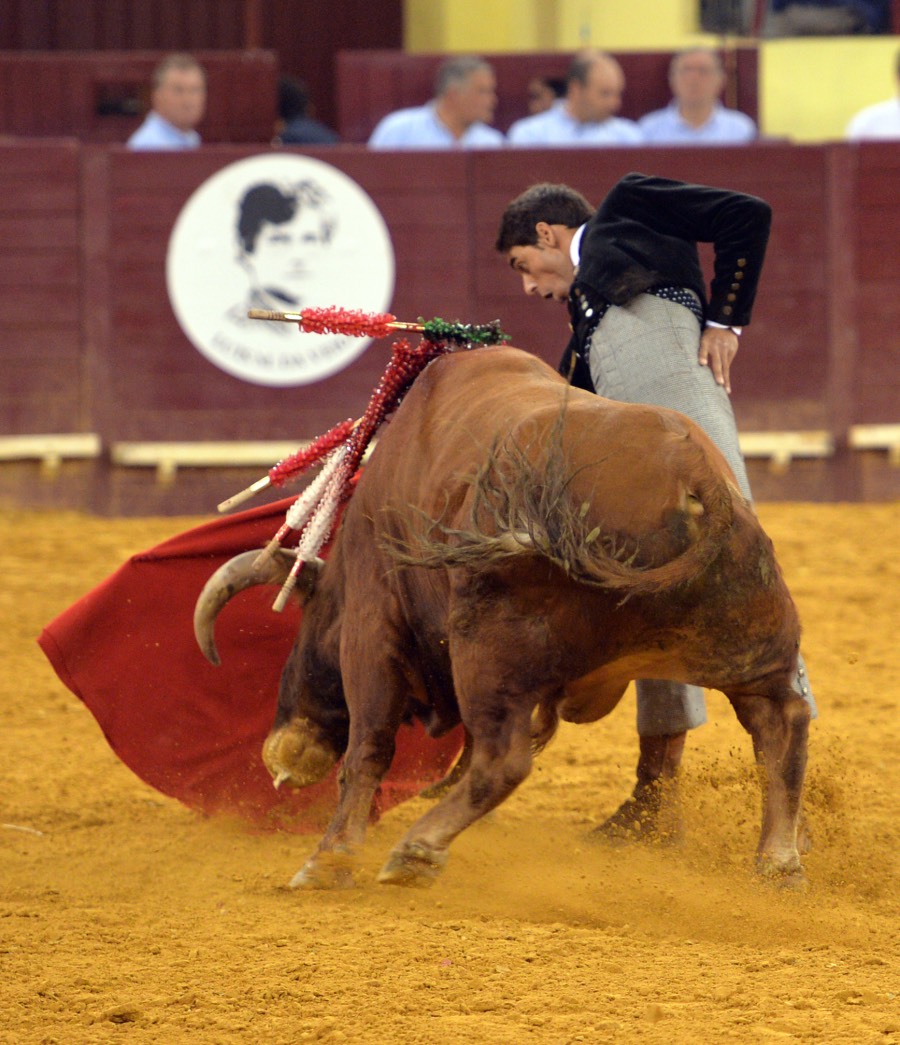 Lisboa, 23 de febrero de 2019. Día de la Tauromaquia