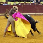 Lisboa, 23 de febrero de 2019. Día de la Tauromaquia