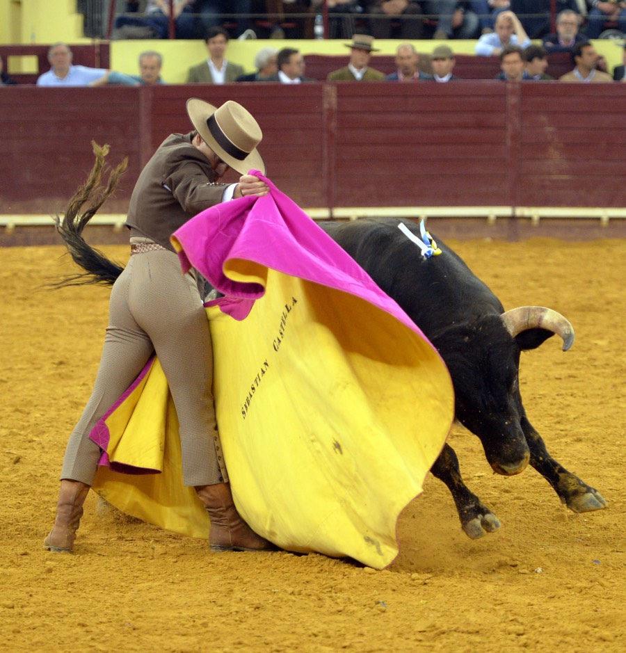 Lisboa, 23 de febrero de 2019. Día de la Tauromaquia