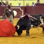 Lisboa, 23 de febrero de 2019. Día de la Tauromaquia