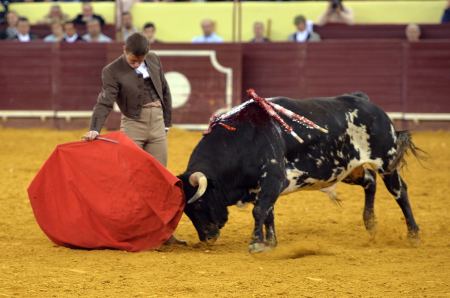 Lisboa, 23 de febrero de 2019. Día de la Tauromaquia