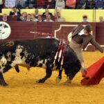 Lisboa, 23 de febrero de 2019. Día de la Tauromaquia