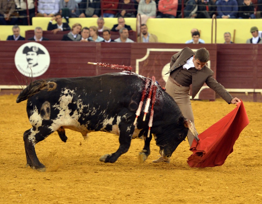 Lisboa, 23 de febrero de 2019. Día de la Tauromaquia