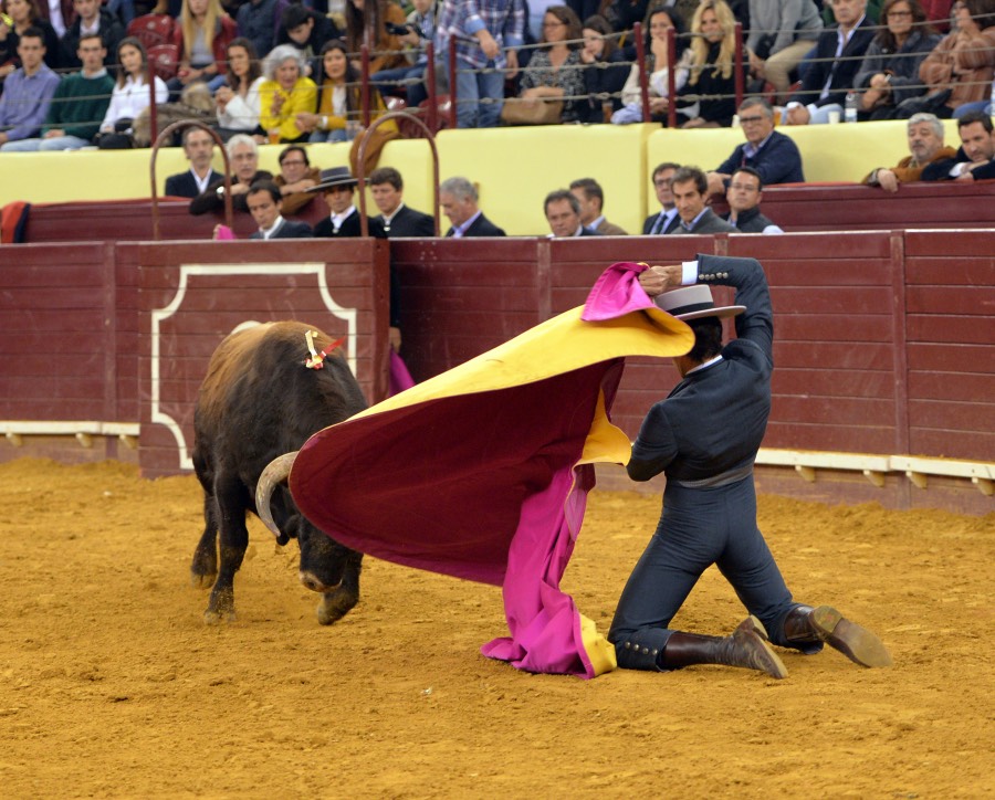 Lisboa, 23 de febrero de 2019. Día de la Tauromaquia