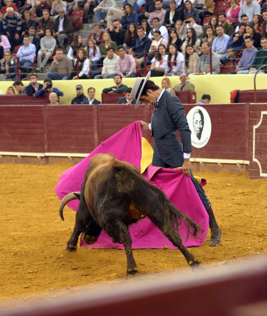 Lisboa, 23 de febrero de 2019. Día de la Tauromaquia