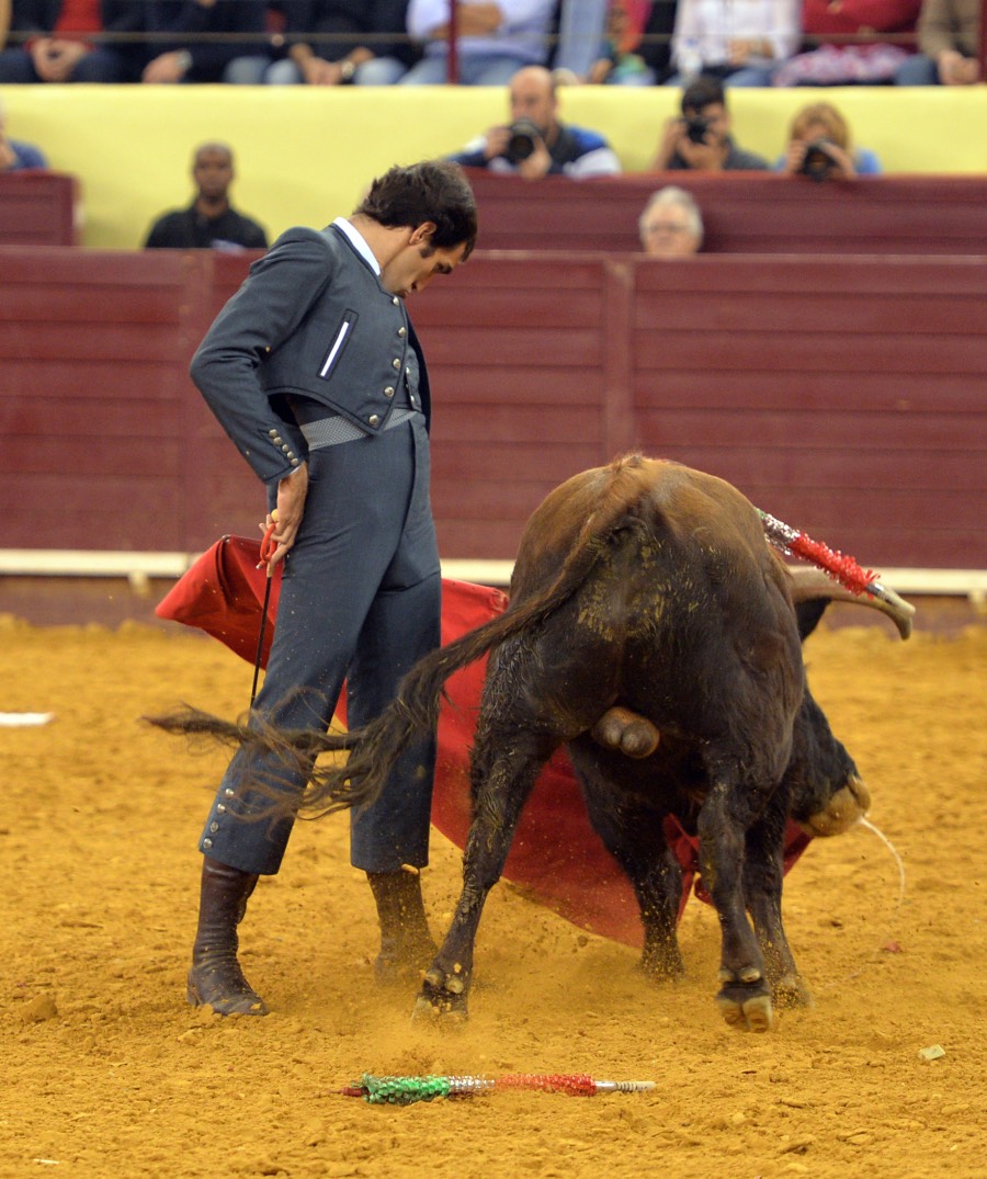 Lisboa, 23 de febrero de 2019. Día de la Tauromaquia