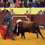 Lisboa, 23 de febrero de 2019. Día de la Tauromaquia