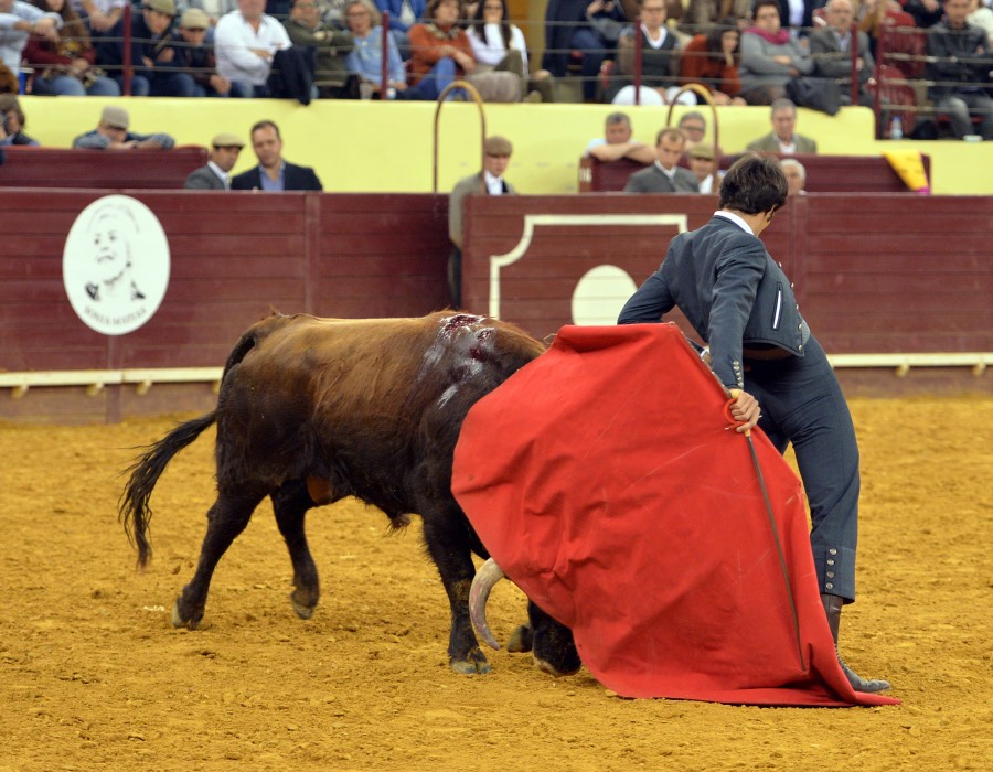 Lisboa, 23 de febrero de 2019. Día de la Tauromaquia