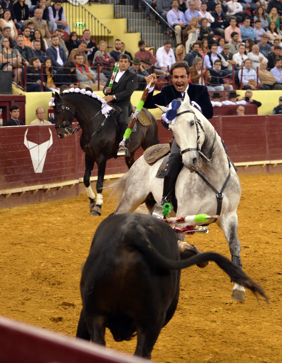 Lisboa, 23 de febrero de 2019. Día de la Tauromaquia