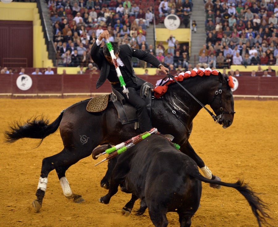 Lisboa, 23 de febrero de 2019. Día de la Tauromaquia