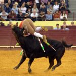 Lisboa, 23 de febrero de 2019. Día de la Tauromaquia