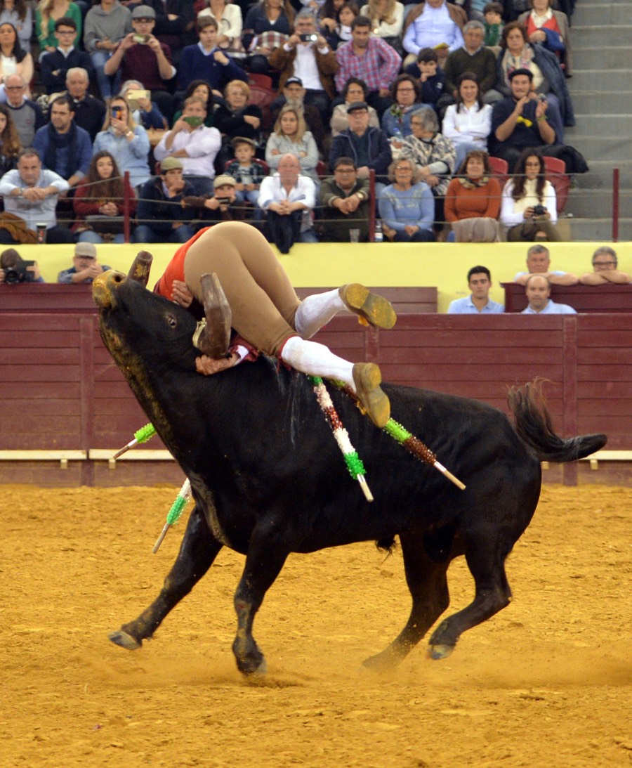 Lisboa, 23 de febrero de 2019. Día de la Tauromaquia