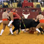 Lisboa, 23 de febrero de 2019. Día de la Tauromaquia