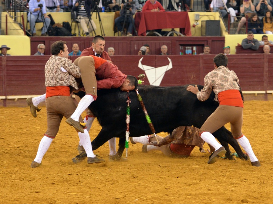 Lisboa, 23 de febrero de 2019. Día de la Tauromaquia