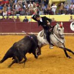 Lisboa, 23 de febrero de 2019. Día de la Tauromaquia