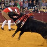 Lisboa, 23 de febrero de 2019. Día de la Tauromaquia
