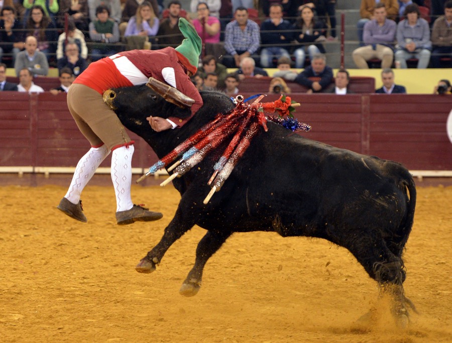 Lisboa, 23 de febrero de 2019. Día de la Tauromaquia