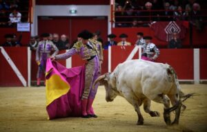 Pontonx (Dax), final V Certamen "La Fragua"