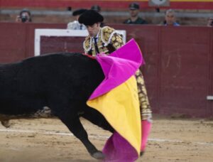 Valdemorillo, domingo 10 de febrero de 2019