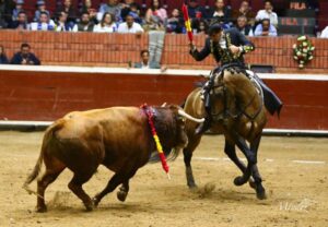 Morelia (México) - Viernes 15 de febrero de 2019