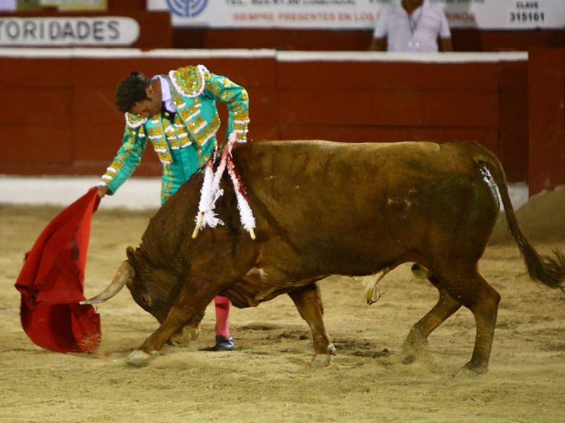Faena importante de Ferrera y cogida de El Payo en Mérida