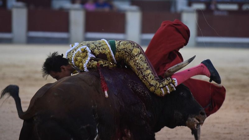 Madrid - Cogida de Fortes - Viernes 28 de septiembre de 2018