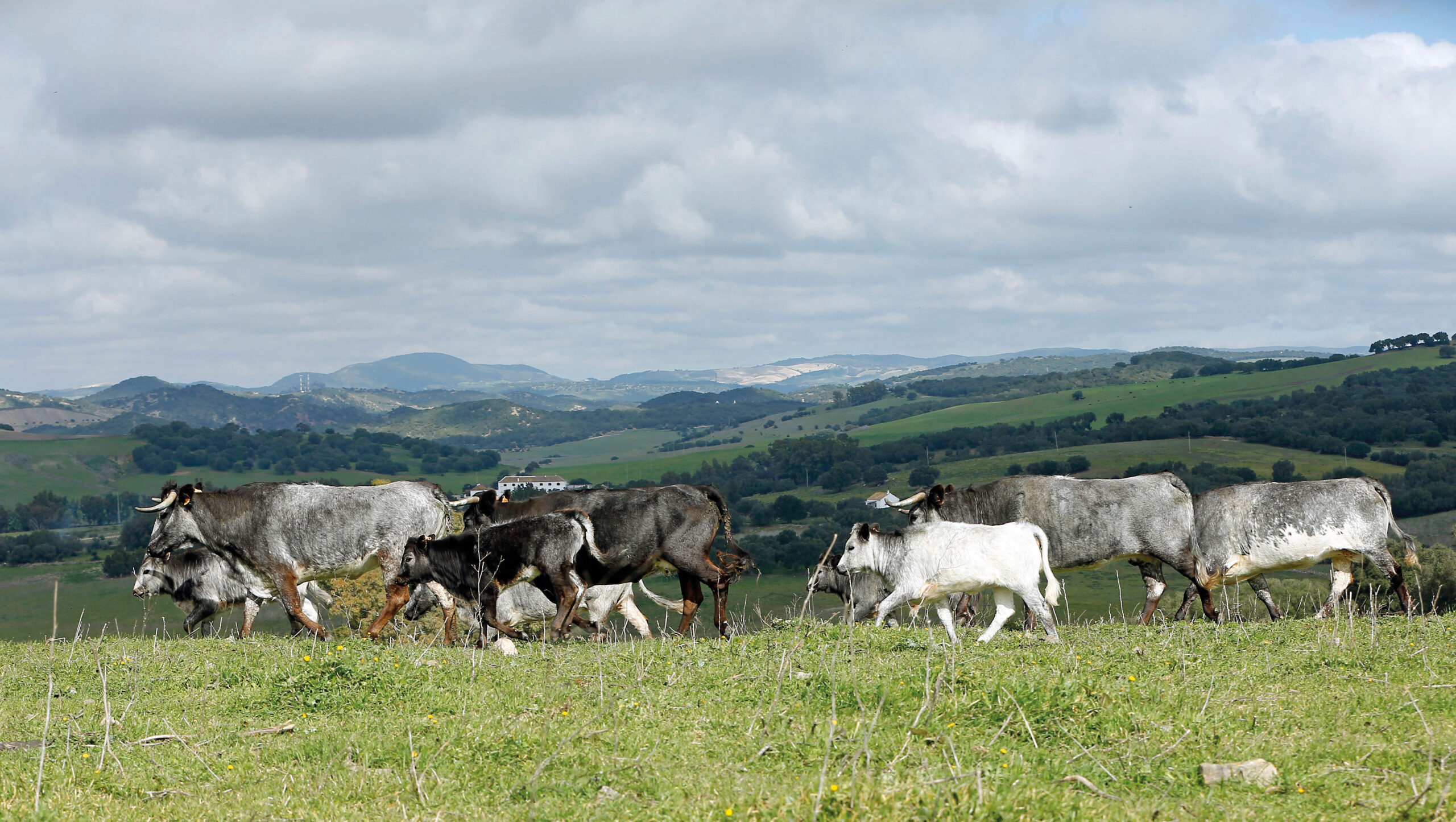 Ana Romero, el valor de lo auténtico
