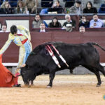 Madrid, domingo 24 de marzo de 2019