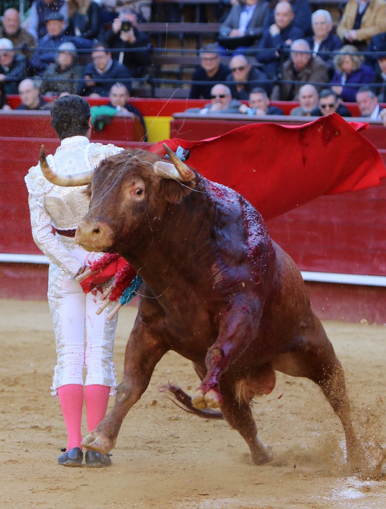 Valencia, 13 de marzo de 2019. Festejo con toros de Alcurrucén para ...