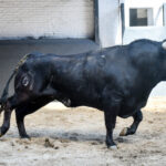 Sorteo, Madrid 24 de marzo de 2019