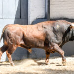 Sorteo, Madrid 24 de marzo de 2019