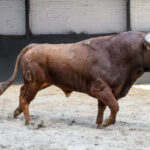 Sorteo, Madrid 24 de marzo de 2019