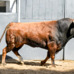 Sorteo, Madrid 24 de marzo de 2019