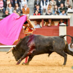 Madrid, domingo 24 de marzo de 2019