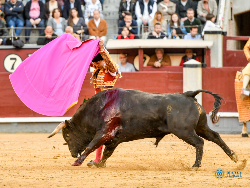 Madrid, domingo 24 de marzo de 2019