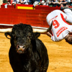 Día del Bou. Valencia, 10 de marzo de 2019