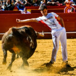 Día del Bou. Valencia, 10 de marzo de 2019