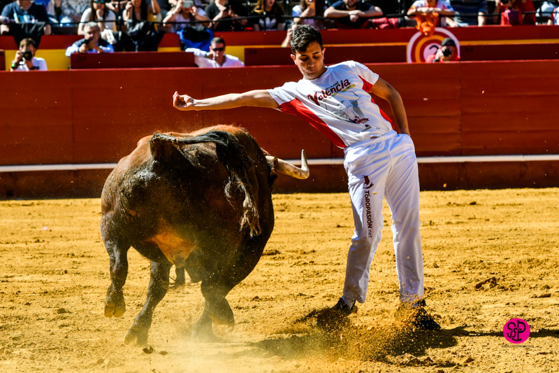 Día del Bou. Valencia, 10 de marzo de 2019
