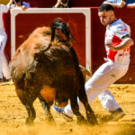 Día del Bou. Valencia, 10 de marzo de 2019