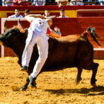 Día del Bou. Valencia, 10 de marzo de 2019