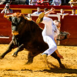 Día del Bou. Valencia, 10 de marzo de 2019