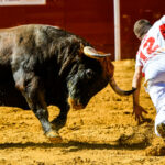 Día del Bou. Valencia, 10 de marzo de 2019