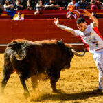 Día del Bou. Valencia, 10 de marzo de 2019