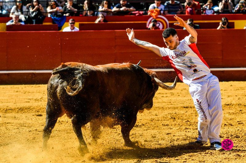 Día del Bou. Valencia, 10 de marzo de 2019