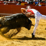 Día del Bou. Valencia, 10 de marzo de 2019